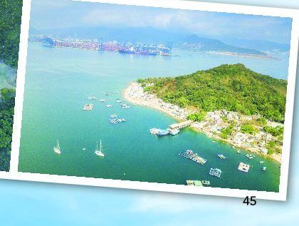 Chinese New Year Cruise to Mirs Bay